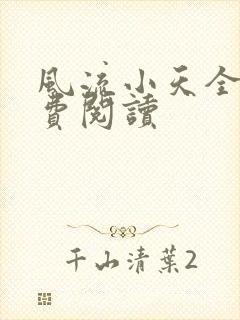 风流小天全文免费阅读