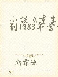 小说《重生:回到1983年当首富》