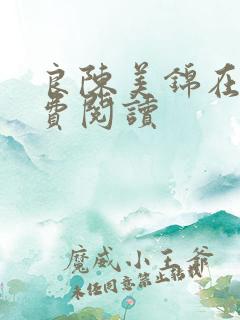 良陈美锦在线免费阅读