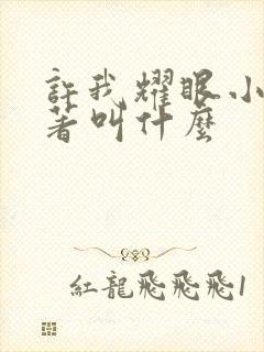 许我耀眼小说原著叫什么