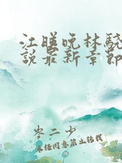 江映晚林骁然小说最新章节