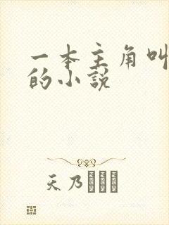 一本主角叫林萧的小说