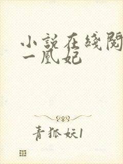 小说在线阅读第一凰妃