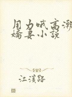 用力哦高潮喷了娇妻小说