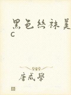 黑色丝袜美女被c