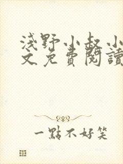 浅野小叔小说全文免费阅读下载