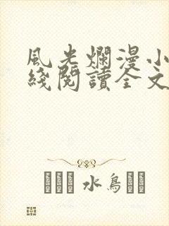 风光烂漫小说在线阅读全文无弹窗