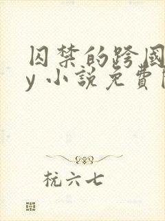 囚禁的跨国恋by 小说免费阅读