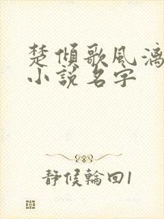 楚倾歌风漓夜的小说名字