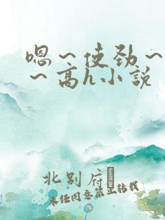 嗯～使劲～别停～高h小说