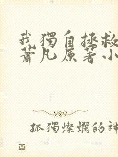 我独自拯救一切萧凡原著小说