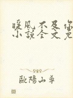 暖风不及你情深小说全文免费阅读正版