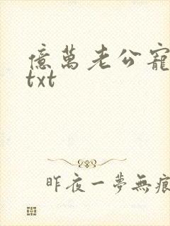 亿万老公宠上瘾txt