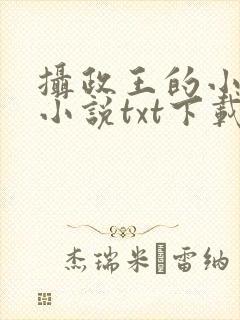 摄政王的小闲妻小说txt下载