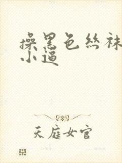 操黑色丝袜欧美小逼