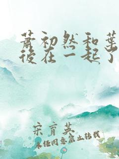 萧初然和叶辰最后在一起了吗