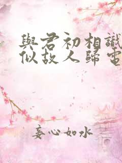 与君初相识·恰似故人归电视剧免费