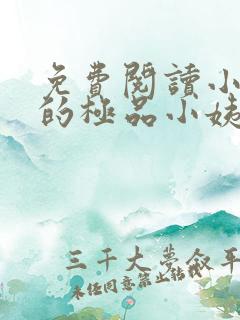 免费阅读小说我的极品小姨