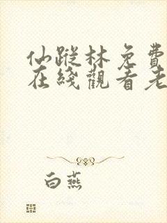 仙踪林免费入口在线观看老狼