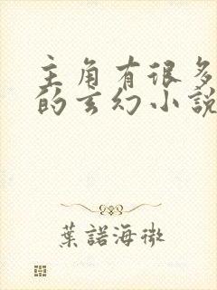 主角有很多老婆的玄幻小说