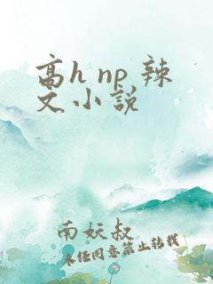 高h np 辣文小说