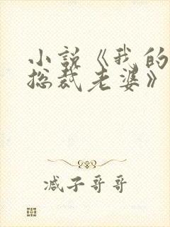 小说《我的冷艳总裁老婆》