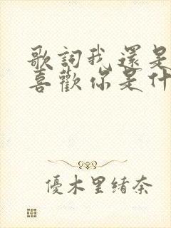 歌词我还是那么喜欢你是什么歌