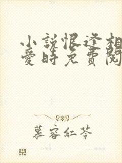 小说恨逢相遇不爱时免费阅读