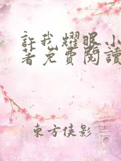 许我耀眼小说原著免费阅读