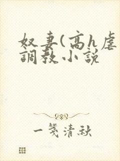 奴妻(高h虐身调教小说