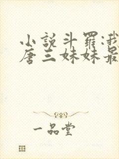 小说斗罗:我是唐三妹妹最新章节