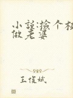 小说:捡个校花做老婆