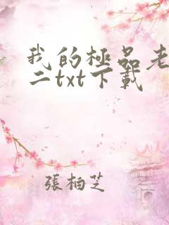 我的极品老婆小二txt下载