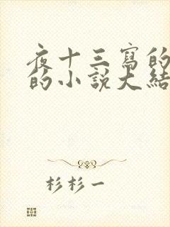 夜十三写的杨洛的小说大结局