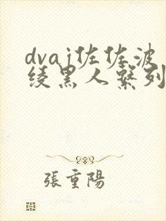 dvaj佐佐波绫黑人系列