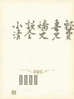 小说娇妻轻吟婉清全文免费