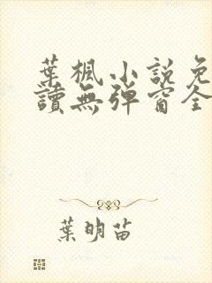 叶枫小说免费阅读无弹窗全文