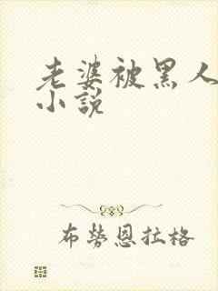 老婆被黑人操的小说