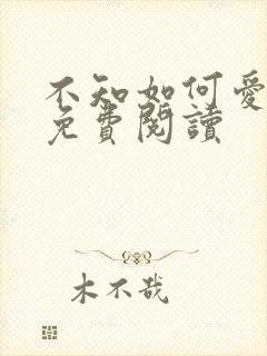 不知如何爱你时免费阅读