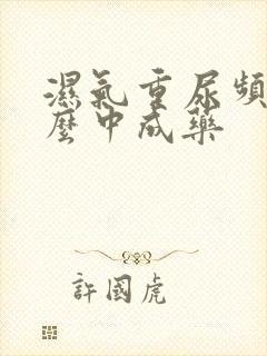 湿气重尿频吃什么中成药