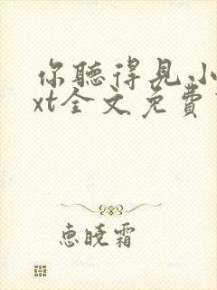 你听得见小说txt全文免费下载