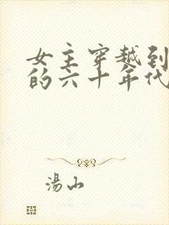 女主穿越到东北的六十年代的小说