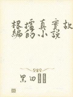 根据真实故事改编的小说