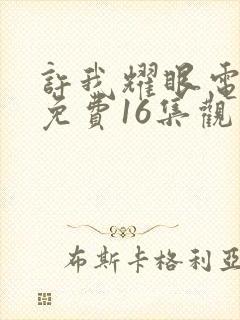 许我耀眼电视剧免费16集观看