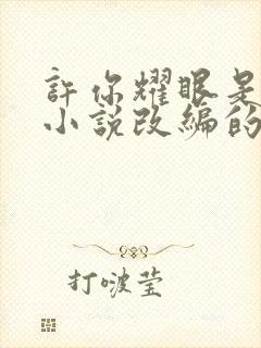 许你耀眼是哪部小说改编的