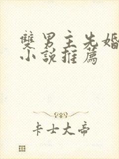 双男主先婚后爱小说推荐