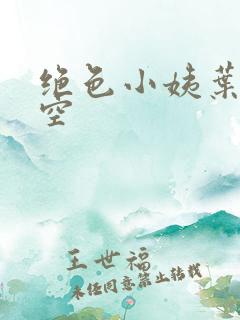 绝色小姨叶凡司空