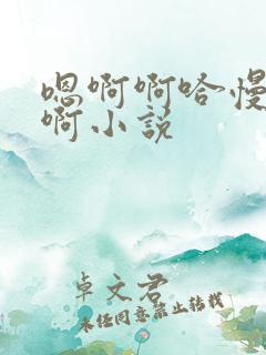 嗯啊啊哈慢一点啊小说