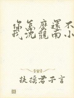 你怎么还不来哄我沈观南小说免费阅读