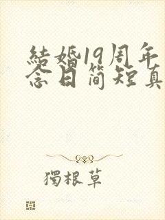 结婚19周年纪念日简短真实的句子